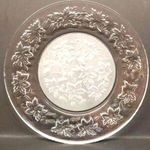 Princess House Dinner Plates